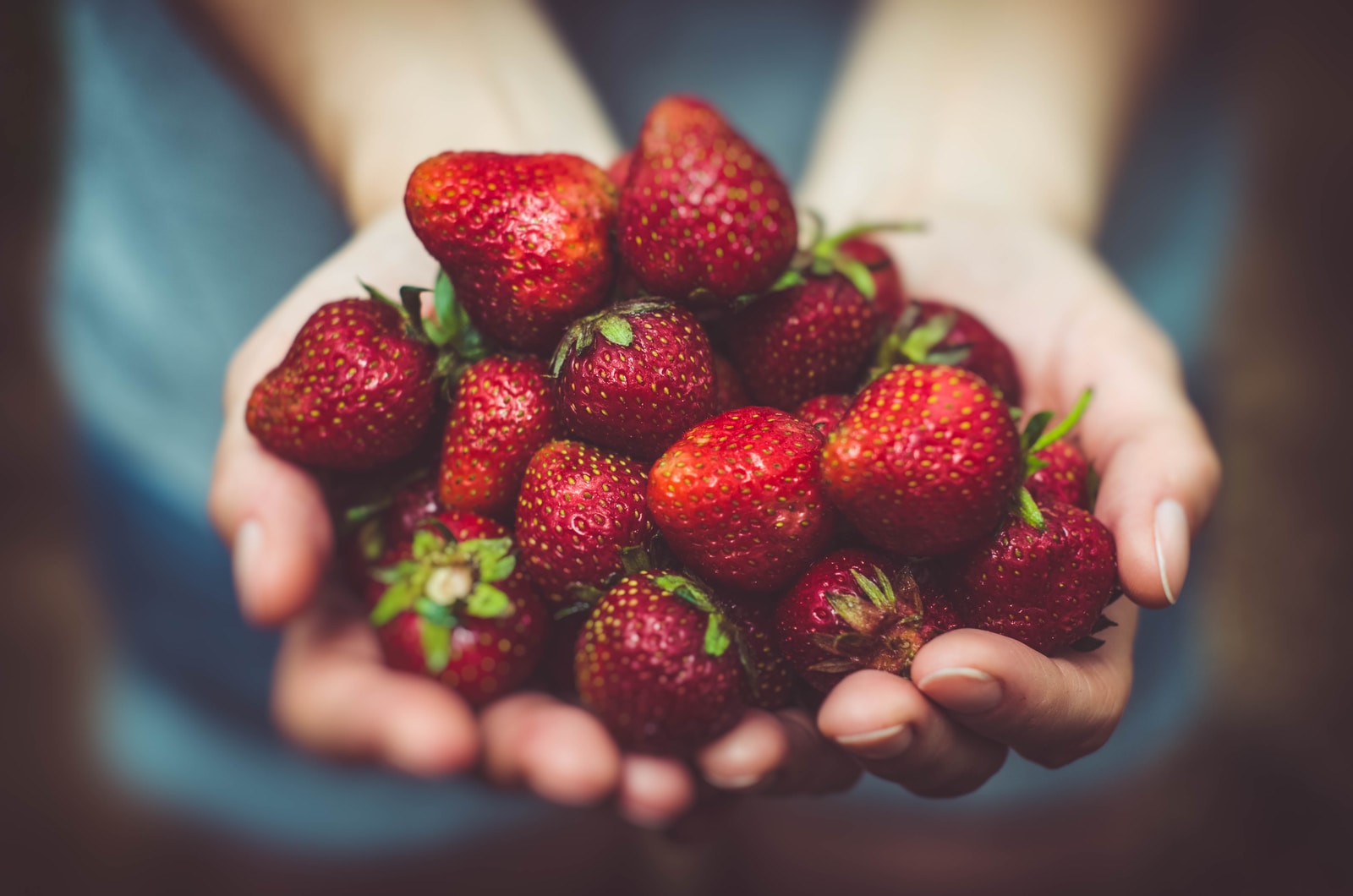 shallow focus photography of strawberries on person's palm