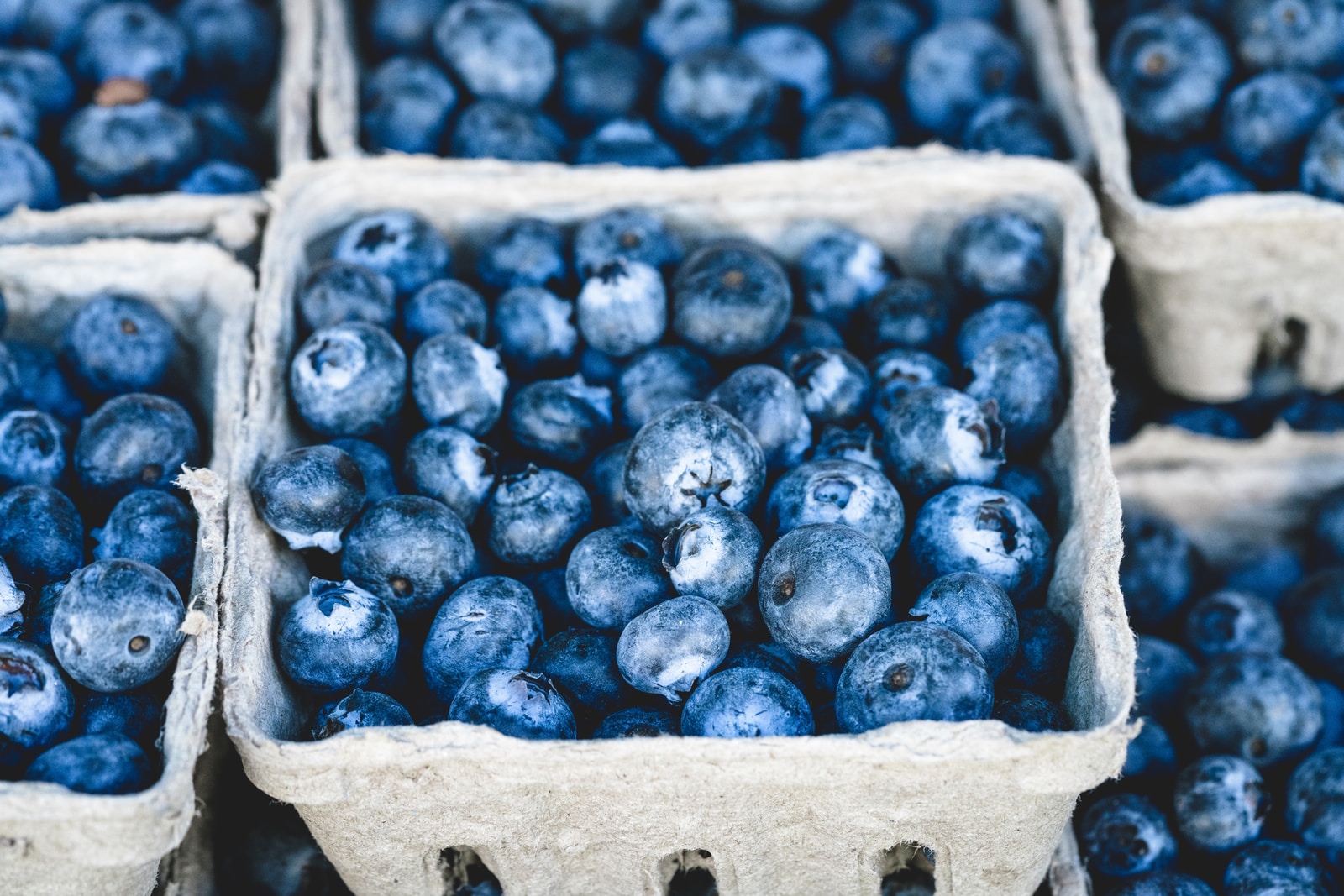 blueberries fruit