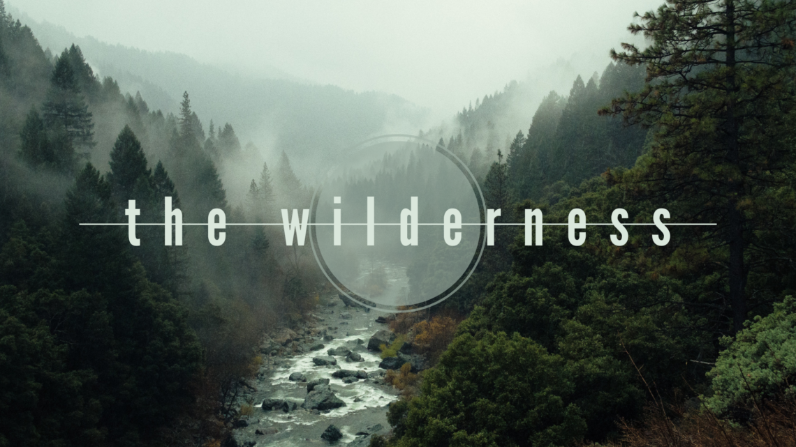 the wilderness, Learning experience