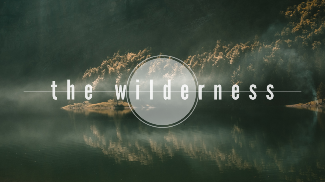 Slip away to the wilderness