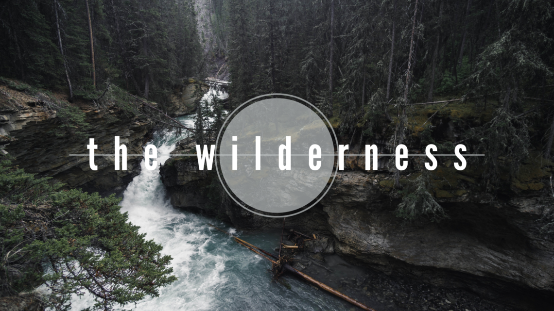 the test of the wilderness