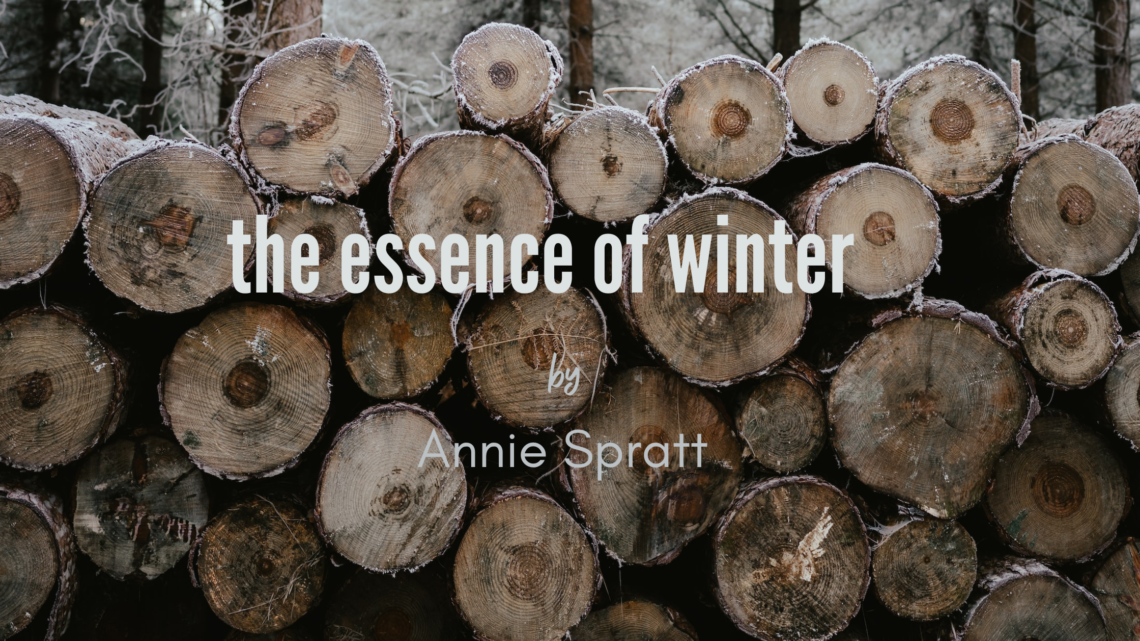 the essence of winter