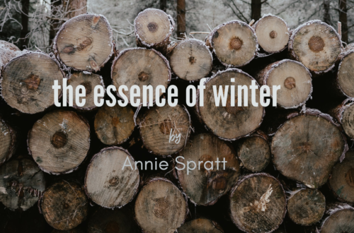 the essence of winter