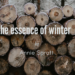 the essence of winter