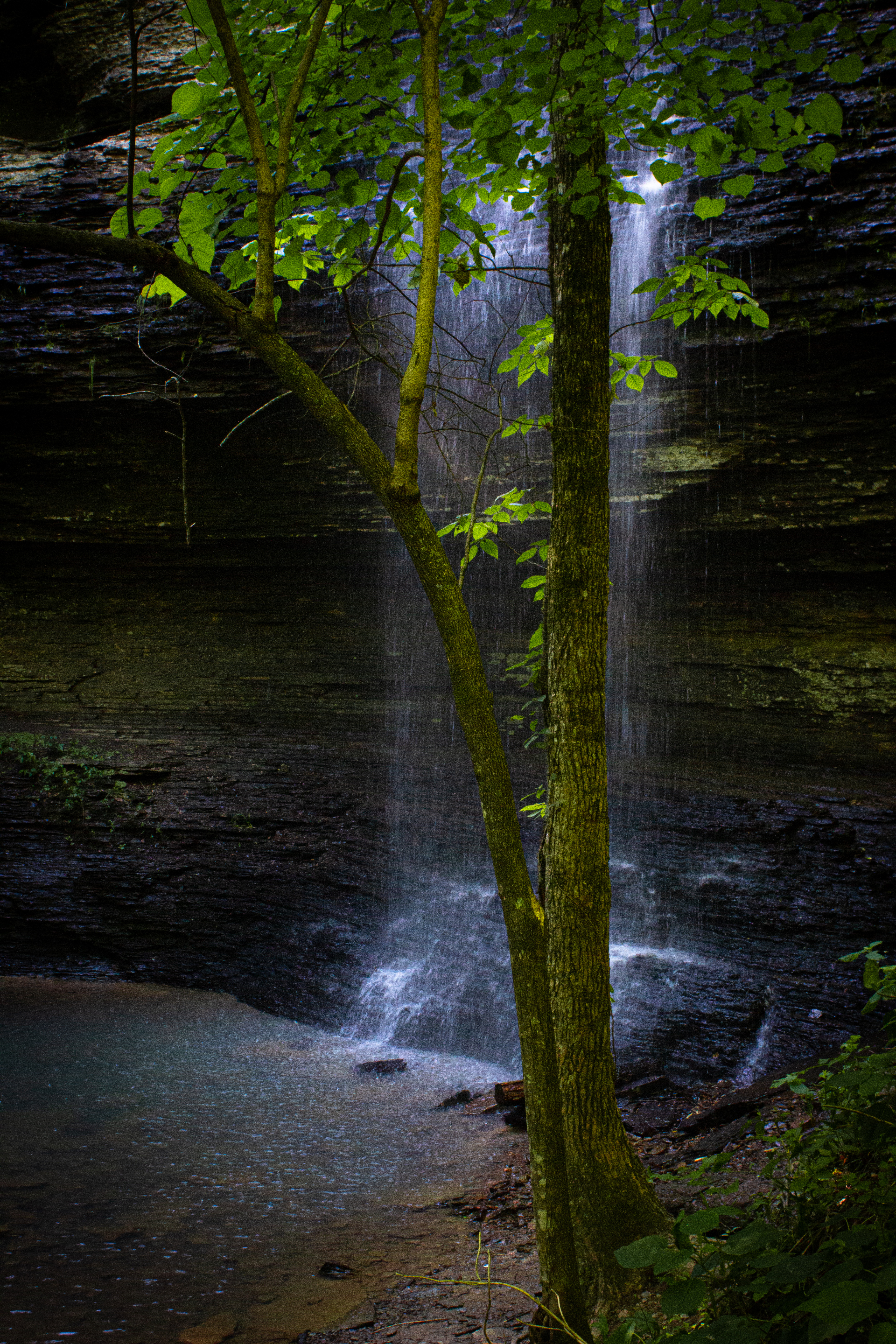 Bridal Veil Falls