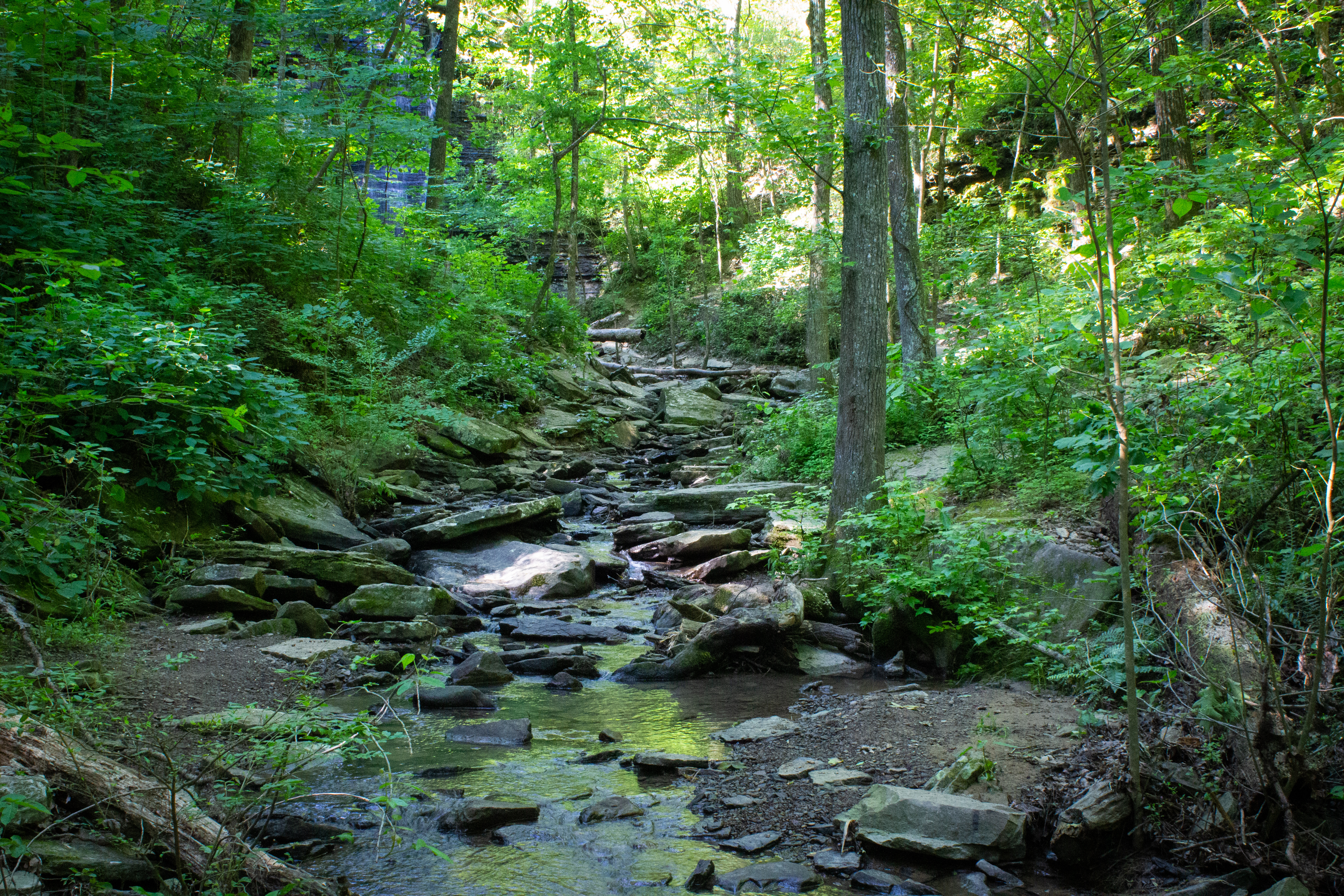 Bridal Veil Falls