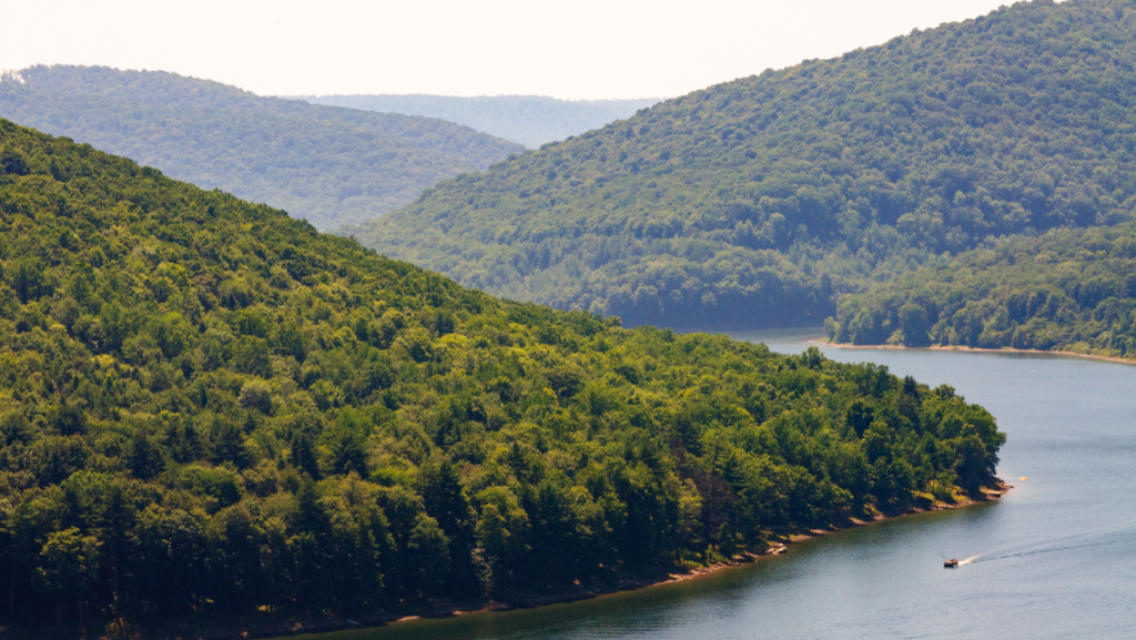 Allegheny National Forest 