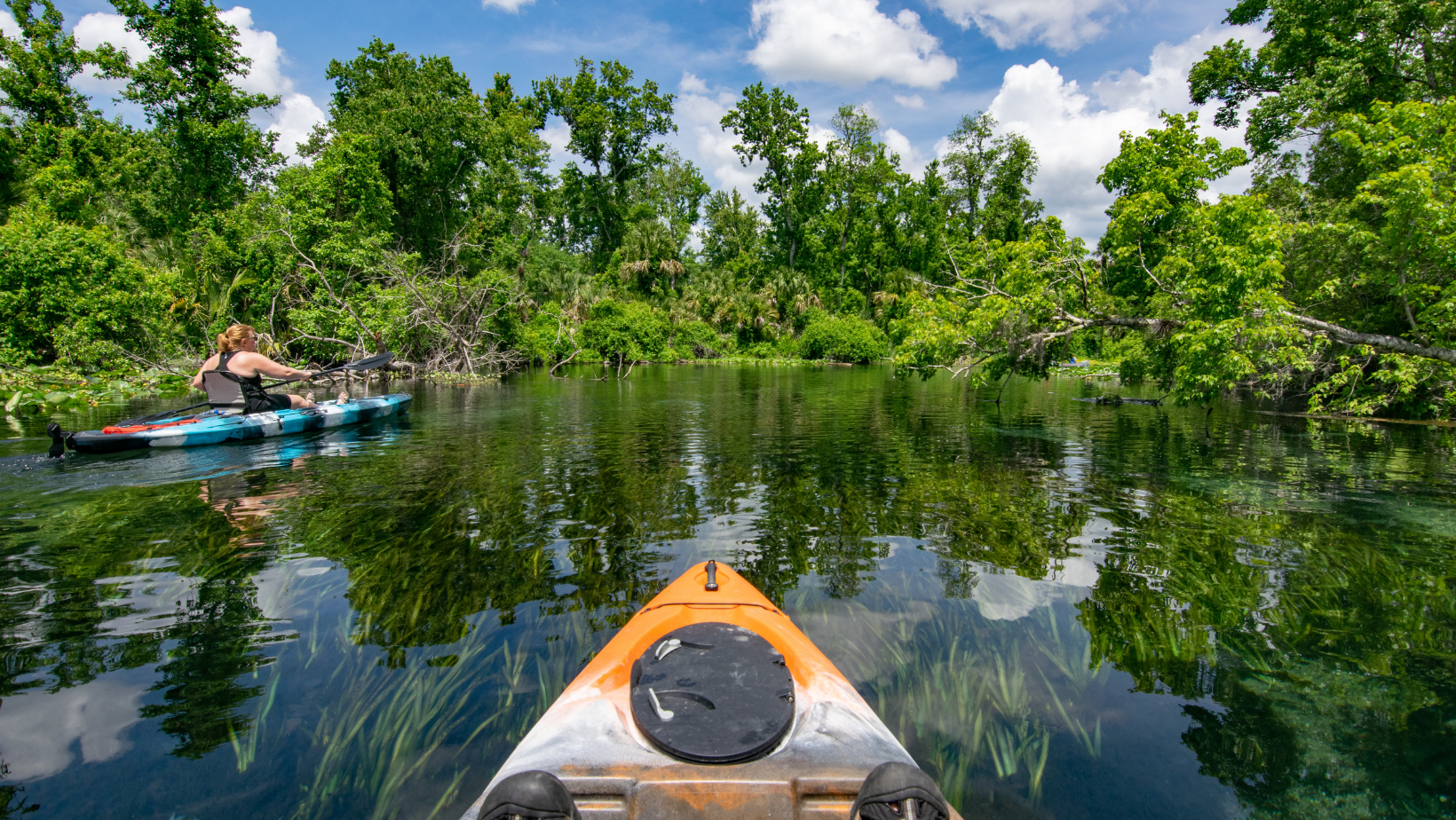 Ocala National Forest 