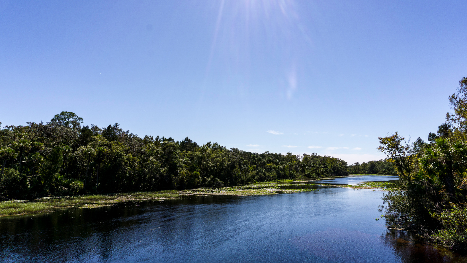 Ocala National Forest 