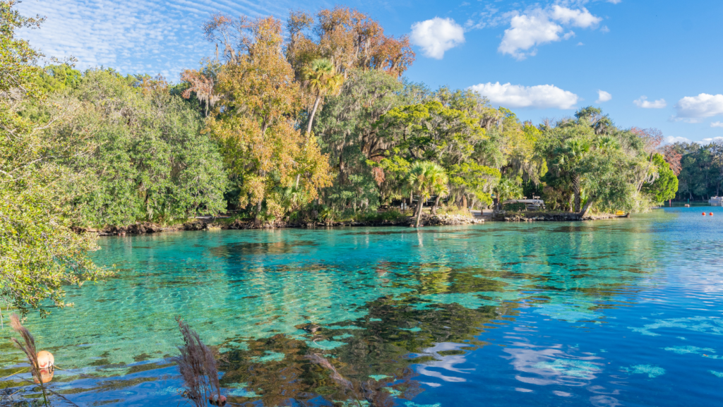 Ocala National Forest 