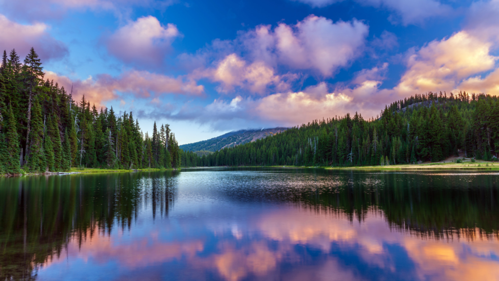 Willamette National Forest 