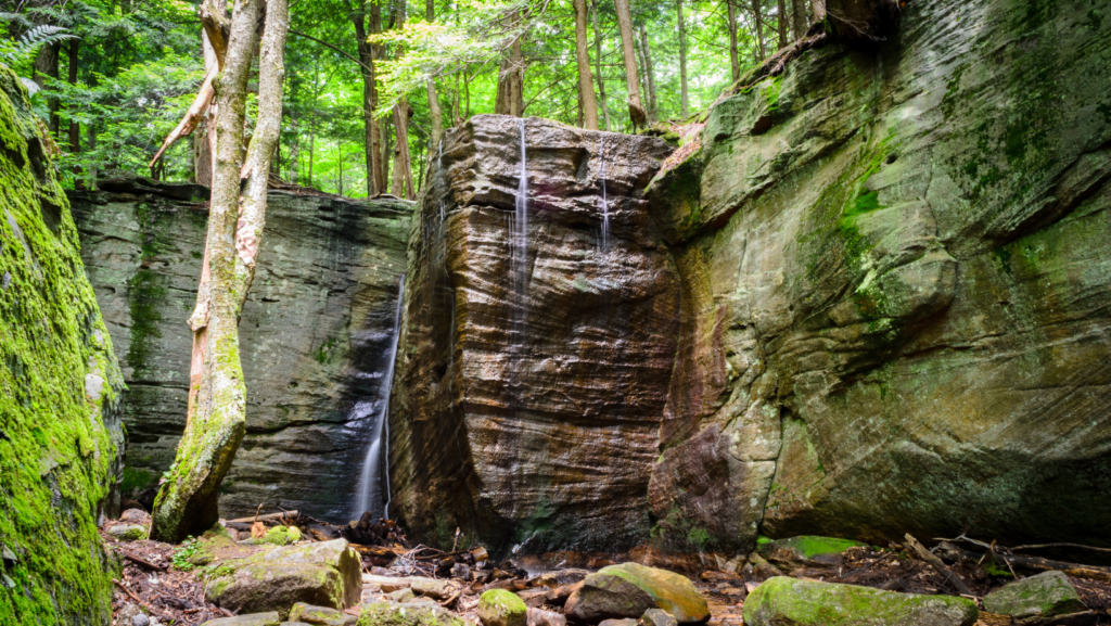 Allegheny National Forest