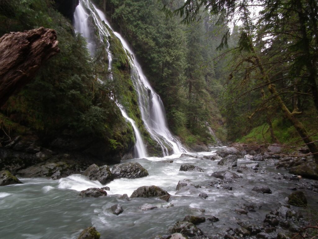 Mount Baker - Snoqualmie National Forest 