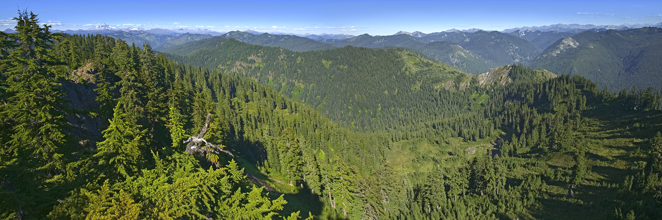 Mount Baker - Snoqualmie National Forest 