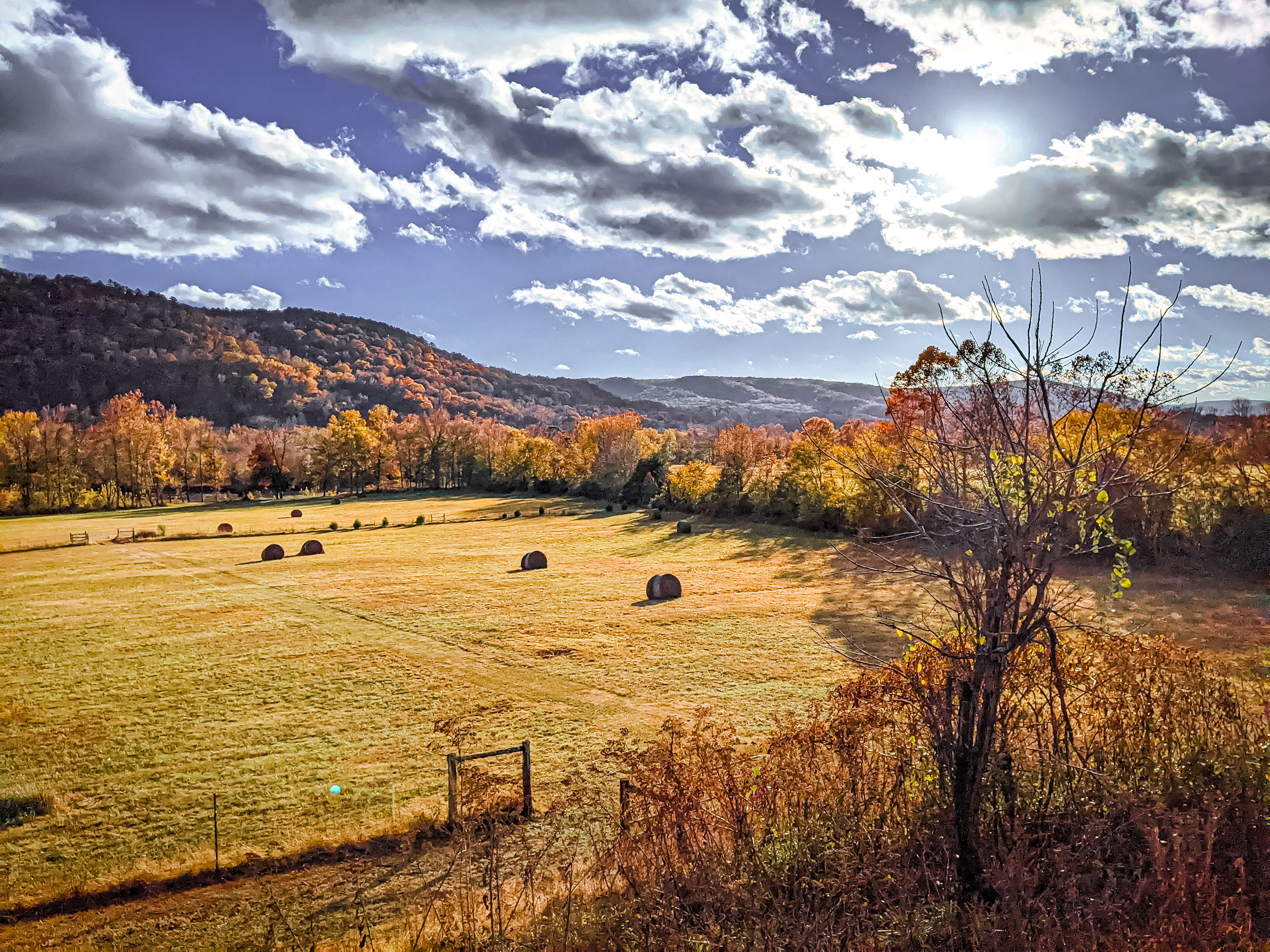 Mulberry River Autumn