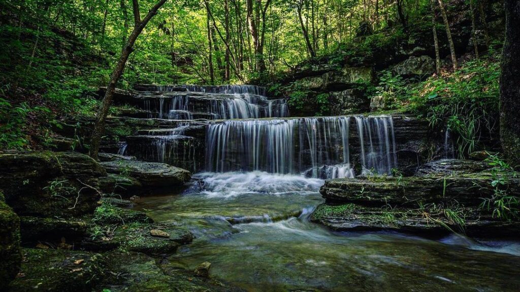 Ozark - St. Francis National Forest 